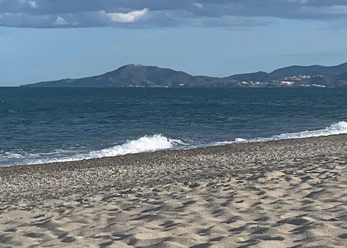公寓 Joli T2 Face A La Mer Et La Piscine - Parking - Loggia